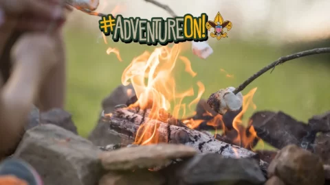 Marshmallows roasting on a fire -- Adventure On!
