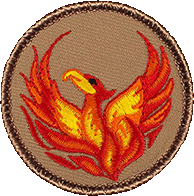 Phoenix Patrol Patch